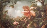 The Hummingbirds and Two Varieties of Orchids, Martin Johnson Heade